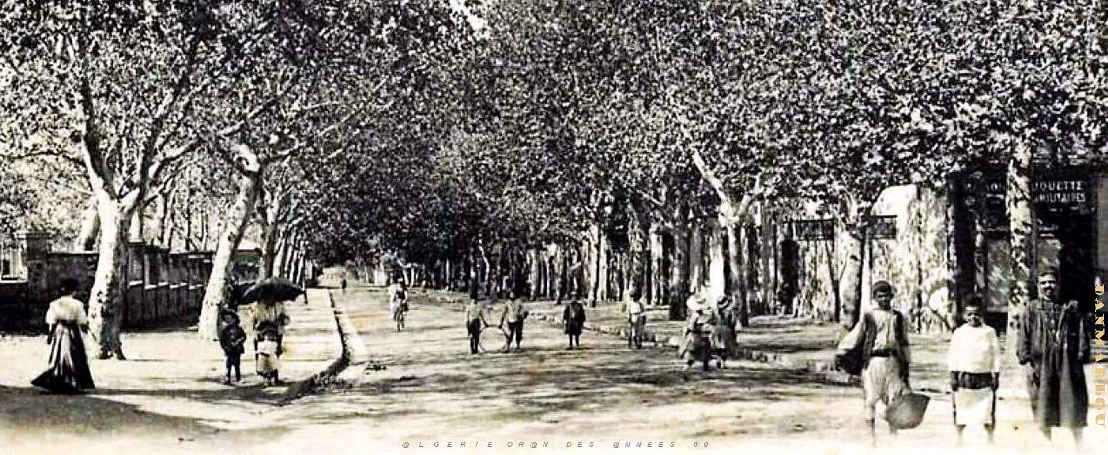 2749Blida - Avenue de la Chiffa2 - 1916.jpg